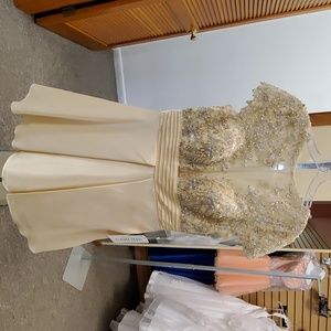 Homecoming/prom dress